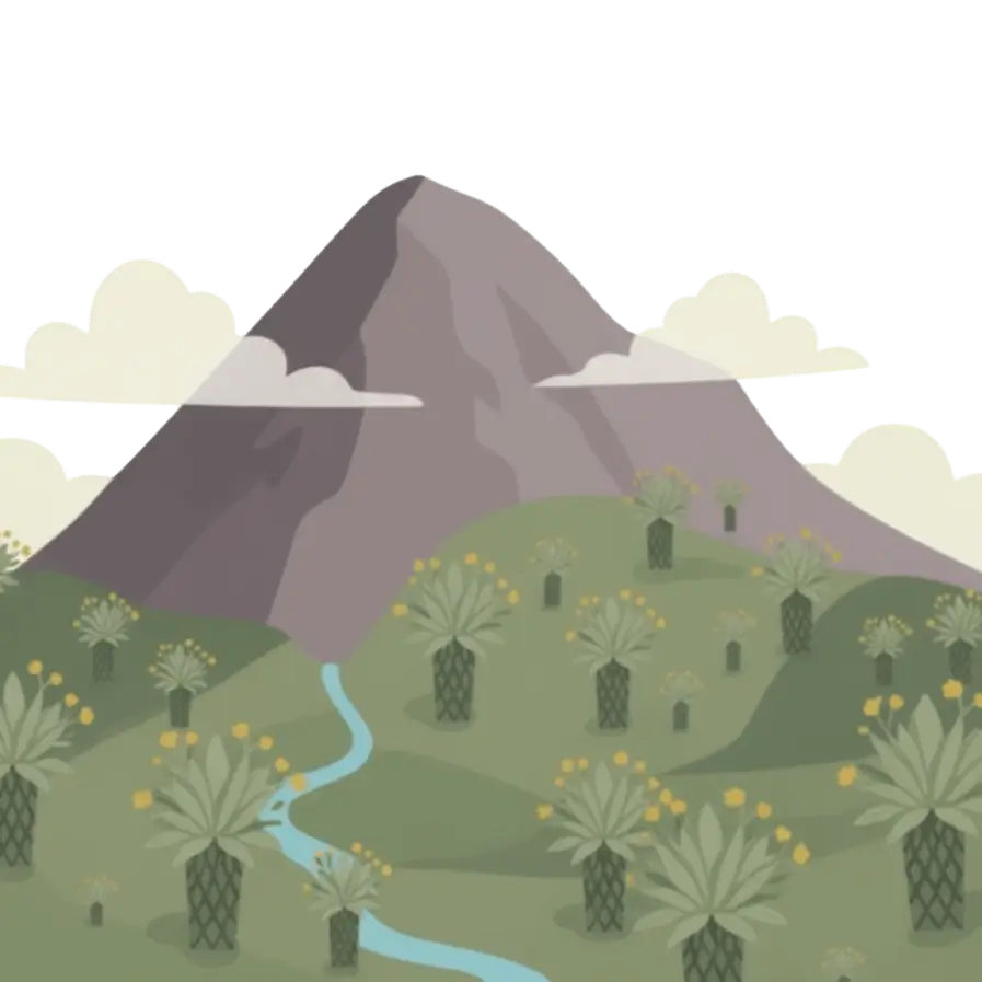 Infographic: The Sumapaz Páramo is recognized as the most extensive páramo ecosystem on the planet, located in the Eastern range of the Colombian Andes.